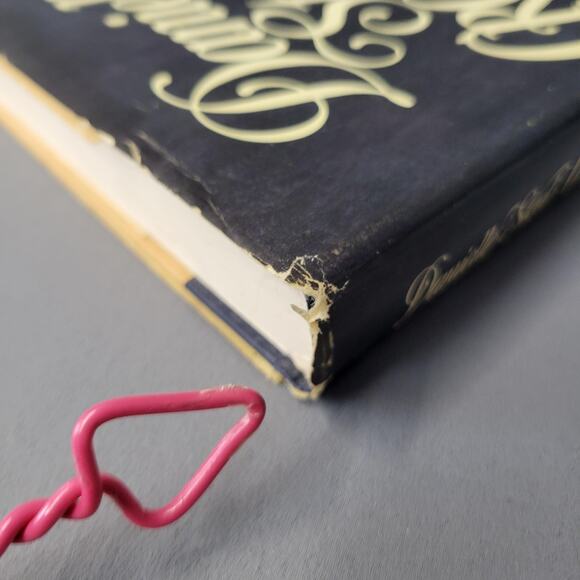 Vintage Crossings Danielle Steel 1982 Hardcover Delacorte Press Made in USA DJ - Picture 13 of 15